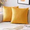 Capas de almofada de sofá de tecido minimalista moderno feitas sob medida, um produto popular transfronteiriço, apresentando capas de almofada decorativa de veludo de cor sólida (enchimento não incluído)