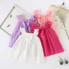 Vestido de Chiffon Colorido Doce com Laço para Meninas Verão 2025 Vestido de Princesa Sem Mangas Infantil Amazon Dropshipping