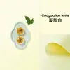 Papel de Fundo Fotográfico Refletivo de Cor Sólida Tradicional Adereços Fotográficos para Joias Cartão de Papel para Fotografia de Produtos Coloridos Fruta Vermelha Pequena
