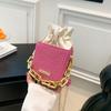 Bolso de Mano Pequeño Elegante de Gama Alta para Mujer 2026 Nuevo Bolso Cubo de Cadena de Hombro de Moda Versátil Cruzado para Instagram