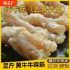 Tendón de res amarillo, tendón de pezuña de res, fresco, precocido, tendón principal, tendón de pezuña de res, vísceras de res, semiacabado, ingredientes congelados para olla caliente, sin hueso
