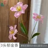 26 Años de Materiales de Flores Rosadas, Diseño de Rendimiento Comercial, Flores Falsas para Sesión de Fotos de Boda Romántica, Flores de Seda para Decoración Suave