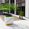 Floreiras de Aço Inoxidável, Vasos de Flores para Shopping Centers, Expositores de Plantas para Exterior, Jardins Suspensos para Departamento de Vendas, Paisagismo, Floreiras Galvanizadas, Calhas para Flores