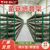 Estante 3D para cultivo de cogumelos, sala de cultivo de cogumelos, unidade modular de cultivo de cogumelos, estante de grade para cultivo de cogumelos, estufa para cultivo de cogumelos, estante plana para cultivo de cogumelos