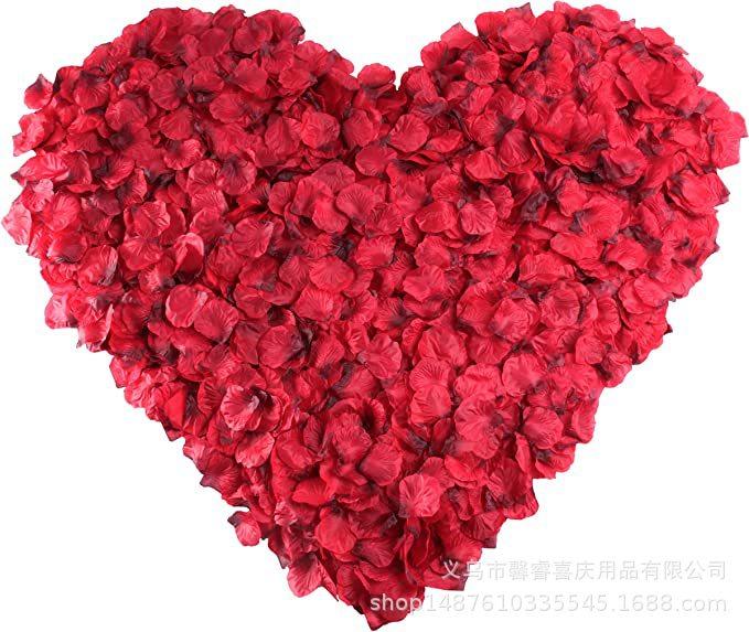 81jzPS8Ao6L._AC_SX679_