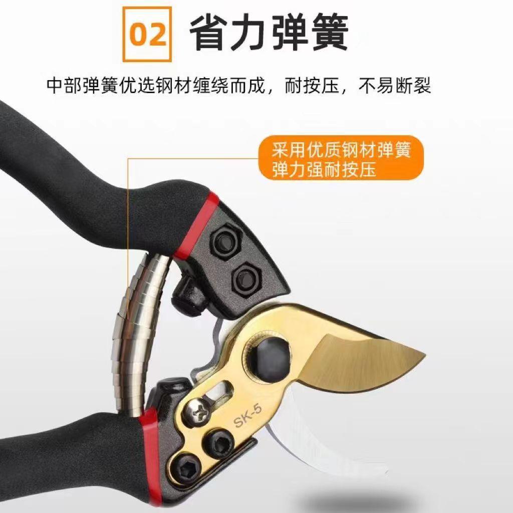 详情-02.jpg
