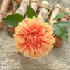 Flores Artificiais de Dália Atacado de Fabricante para Decoração de Casamento Artesanato Estilo Ins Buquê de Mão Flores Artificiais Plantas Verdes