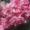 Flor Artificial Três Cabeças Rosa Diamante Fabricante Venda Direta Cama Floral Nova de Alta Qualidade Flores Materiais Florais Essenciais para Casamento