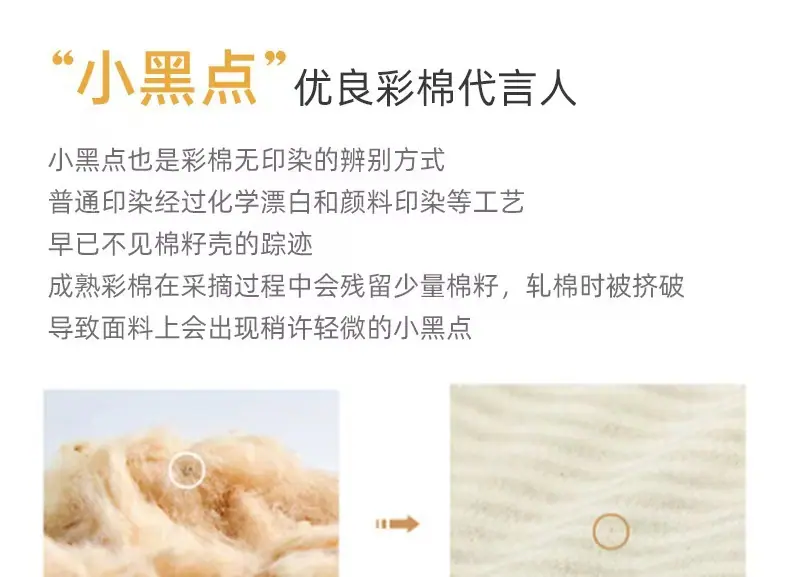 彩棉小黑点
