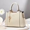 Más fácil para combinar Invierno Bolso Grande Popular Moda Femenina 2025 Bolso Bandolera de un Hombro Fabricante Exportación Popular Nuevo Bolso de Mano
