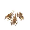 Enfeite de besouro de cobre maciço, inseto touro dourado de latão, besouro longicórnio simulado, inseto de cobre, escultura de cobre, brinquedo de mão de cobre
