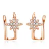 Novedosos pendientes de estrella de seis puntas moda europea y americana pendientes de meteorito pendientes temperamento con incrustaciones de diamantes pendientes brillantes de arroz de meteorito