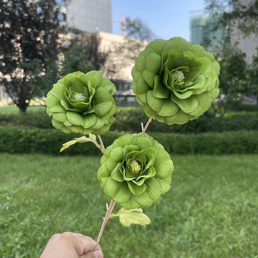 3头大蔷薇-sxzxx-绿色.JPG