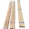 Postes de Bambú Verdes para Decoración, Postes de Bambú Gruesos y Delgados para Danza, Estacas de Bambú, Cercas para Patios Interiores, Postes Decorativos de Bambú para Tendedero