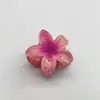 Europa e Estados Unidos cross-border ovo flor clipe feriado quente lado grampo de cabelo para trás cabeça placa tubarão grampo acessórios para cabelo atacado