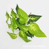 Suministro Directo de Fábrica de 7 Plantas Verdes Simuladas de PVC, Estrellas de Rábano Verde, Hojas Falsas, Regalos, Decoración de Habitación de Boda, Adornos Decorativos
