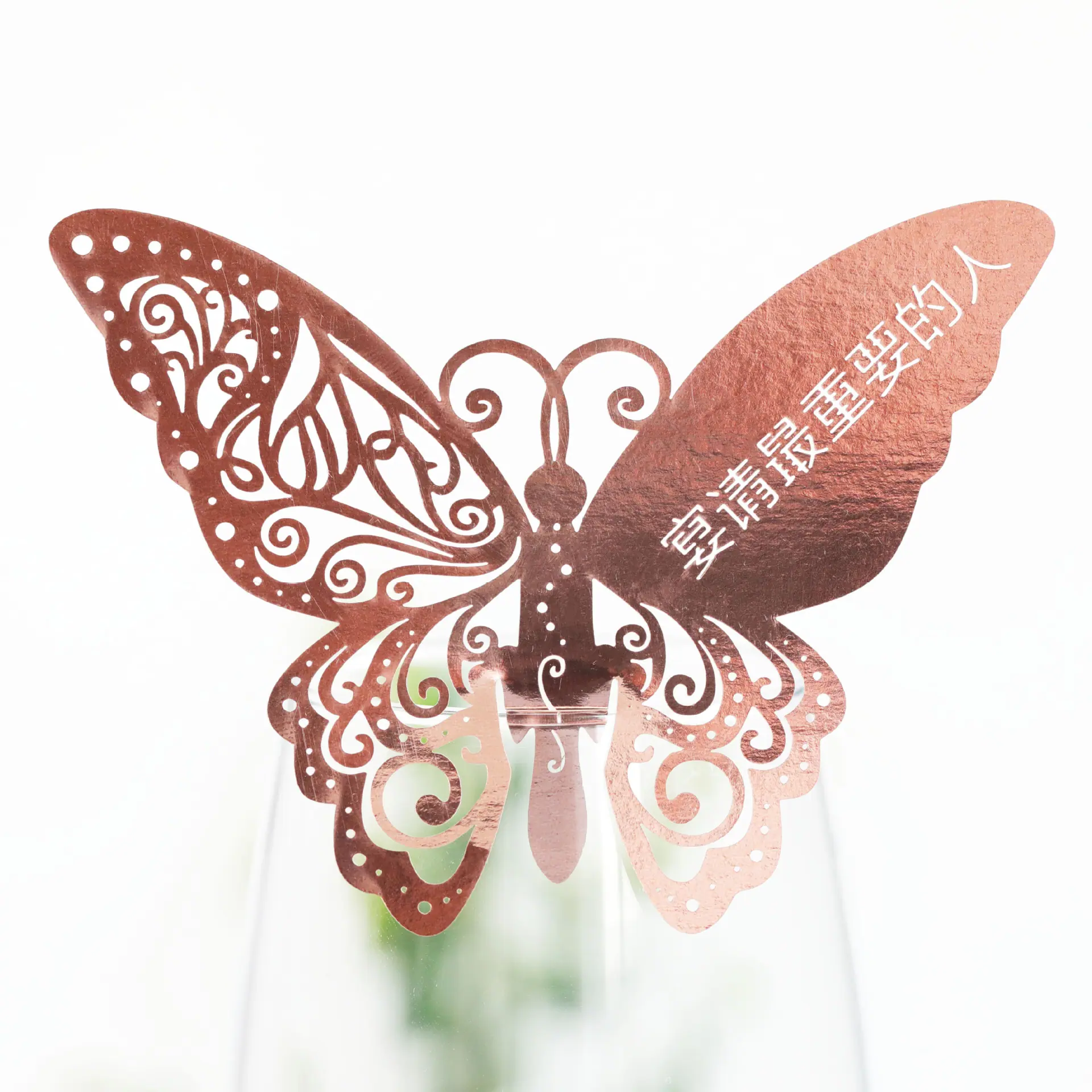 9R3A2954 反光玫瑰金