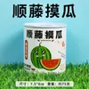 Celebridade da internet pode plantas verdes em vasos sementes de tomate morango flor pequena agricultor enlatado pequeno vaso infantil feito à mão pequenos presentes