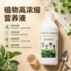 Solução Nutritiva Vegetal de Alta Concentração Tipo Universal para Plantas em Vasos Internos Hidropônicas Fertilizante Em Estoque Atacado Dropshipping