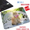 [Una generación de cabello] pequeño lindo gato tela antideslizante tapete para computadora arte estético simple borde bloqueado alfombrilla de ratón