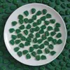 Accesorios de Resina Adornados Rojo y Verde Navideño Pegamento de Crema Casero Material para Pasador de Pelo Agujero Zapatos Imán de Refrigerador