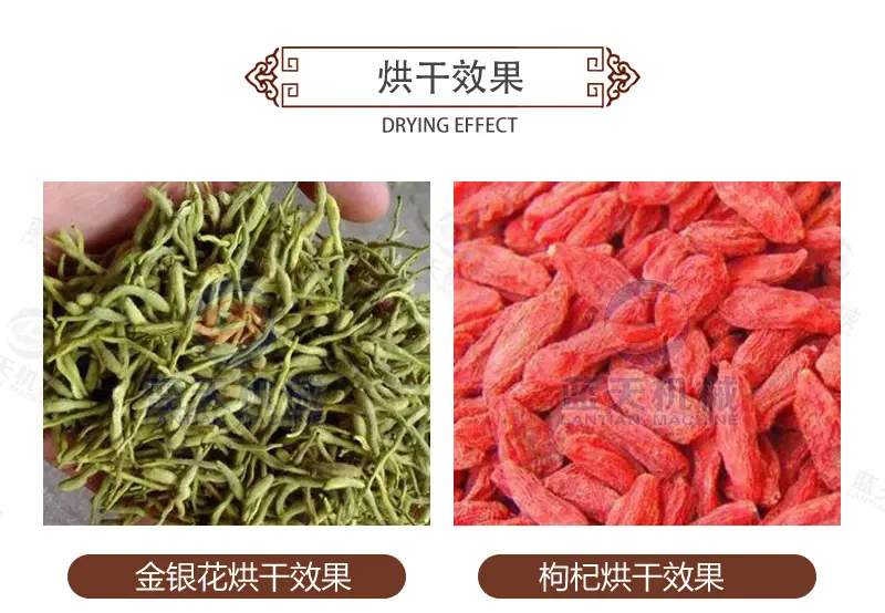 详情_16.jpg