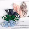 Botão de Placa de Pérola Costurada para Cheongsam Botão de Moeda Antiga Morango de Nylon Segunda Rodada Estilo Chinês Botão Retrô Pode Ser Tingido e Personalizado
