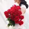 Rosas Rojas Yunnan Kunming Base de Flores Entrega Directa Agua de Rosas Flores Cortadas Frescas Materiales Florales Venta al por Mayor Directa Arreglos Florales para el Hogar