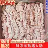 Intestinos de porco semi-cozidos prontos para comer, embalagem solta, congelados frescos, intestinos de porco limpos, produtos frescos semi-acabados, embalados a vácuo para atacado