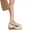 Zapatos Mary Jane plateados de estilo francés para mujer que aumentan la altura, novedad otoño 2026 estilo ballet, adecuados para combinar con faldas, zapatos bajos de cuero