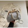 Bolsa Pequeña Súper Fuego de Verano para Multitud Pequeña para Mujer 2025 Nueva Exquisita Versátil Bolso de Mano Tipo Dumpling Popular Explosiones Bolso Cruzado