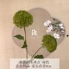 Flor de Hortênsia Falsa Congelada Simulada de 2 Cabeças Decoração de Arranjo de Flores para Guia de Estrada de Salão de Casamento Hotel Decoração Suave