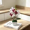 Maceta Cuadrada con Flores Artificiales y Tres Orquídeas Phalaenopsis, Planta en Maceta para Fotografía de Bodas, Planta Verde Decoración de Estudio de Cine, Decoración de Maceta de Plástico