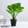 Fabricantes de novos produtos fornecem diretamente pequenas flores artificiais de bonsai, pequenos ornamentos criativos para interior, plantas verdes artificiais, plantas artificiais em vasos da Amazon