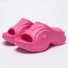 Sandalias de Verano para Mujer con Suela Gruesa, Acolchadas, Moda, para Exteriores, Chanclas, para Ducha, Hogar, Zapatos Calefactables Simples