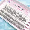 Pelo de Hada Tipo Cola de Pez A Cabello Mixto Pestañas Postizas Naturales Suaves Segmentadas Cinco Filas Pestañas Injerto Plantación Pestañas