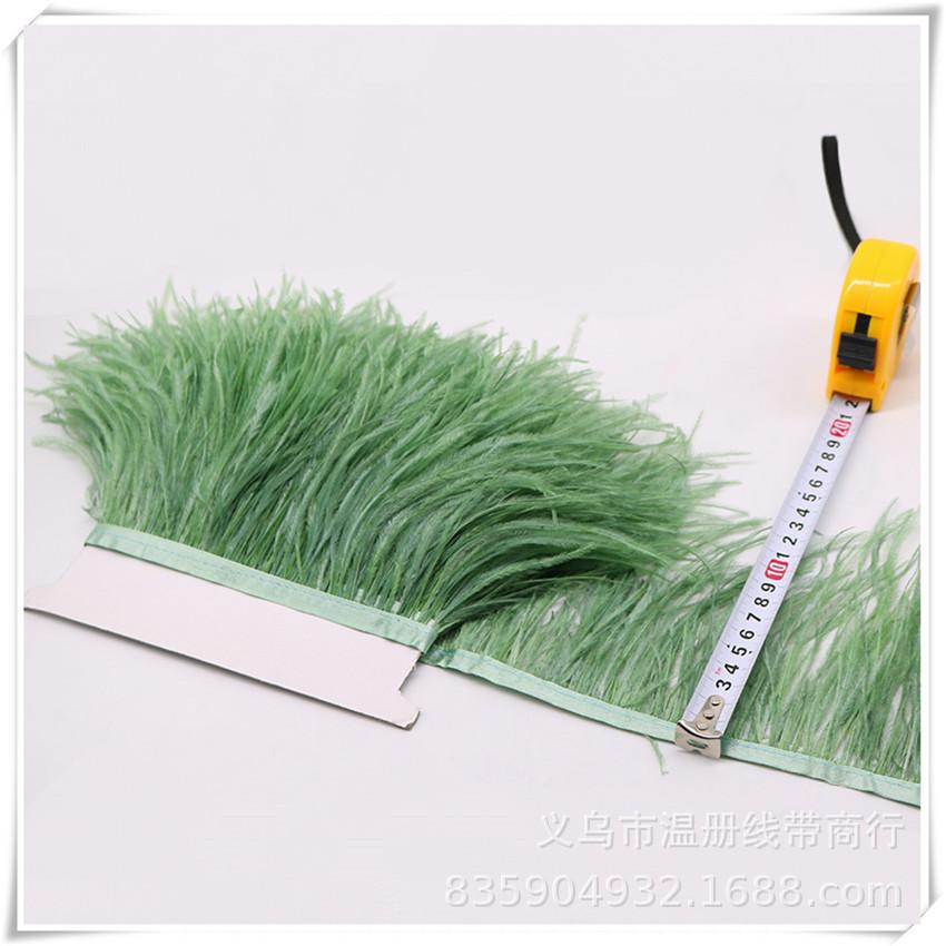31 grass green ostrich feather