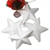 Bola de espuma cm espuma estrela de cinco pontas jardinagem paulilong estrela de cinco pontas eps árvore de Natal decoração de neve