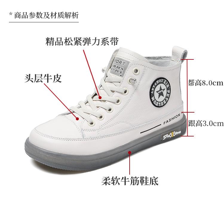 ZM22355_04.jpg
