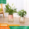 Sala de Estar Luxo Leve Suporte Moderno para Plantas Verdes Ferro Nórdico Suporte para Vaso de Flores Suporte para Plantas de Chão Interno Suporte para Flores de Varanda