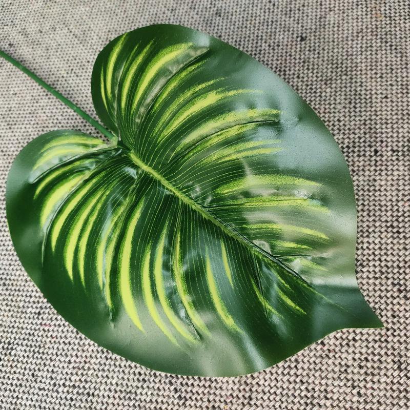 单只连体象耳叶浅绿