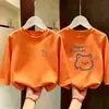 Camiseta de manga larga para niña, algodón puro, nueva y elegante camiseta de otoño para niños 2026, camiseta básica de otoño para niña pequeña