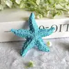Promocional de Fábrica Estrella de Mar de Cinco Puntas de 7.5cm Decoración de Piso de Caracola Pecera Creativa de Resina Pegatinas de Pared Decoraciones de Pared