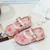 Nuevos Zapatos de Cuero Dulces y Lindos para Niñas para Uso en Exteriores, Adecuados para Niños Mayores, Primavera y Otoño 2026, Zapatos Planos de Suela Suave con Estilo Coreano Floral