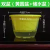 Maceta autorriego Potos maceta automática perezosa que absorbe agua maceta transparente plástico maceta especial para Potos venta al por mayor