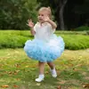 Falda Tutú de Princesa Verano 2023 Falda Media para Bebé Niña. Falda de Conejo para Niña Falda Tutú de Bebé con Dobladillo Amplio Soñadora