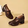 Sapatos Mary Jane de bico redondo para mulheres de meia-idade, sapatos femininos de couro macio com salto grosso para primavera e outono, tira T confortável