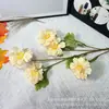 5 Flores de Orquídea Artificiales para Decoración de Boda, Arreglo Floral de Pasillo, Arreglo Floral de Techo de Hotel, Flores Artificiales para Exportación