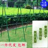 Soportes para Plantas Trepadoras para Lufa, Frijoles, Maracuyá, Melón Amargo, Uvas, Pepinos; Malla para Enrejado con Recubrimiento de Plástico para Uso en Jardín y Hogar