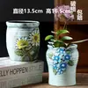 Vaso de flor de suculenta em cerâmica com prato, oferta especial, diâmetro grande, tamanho grande, vaso criativo para suculentas de casa